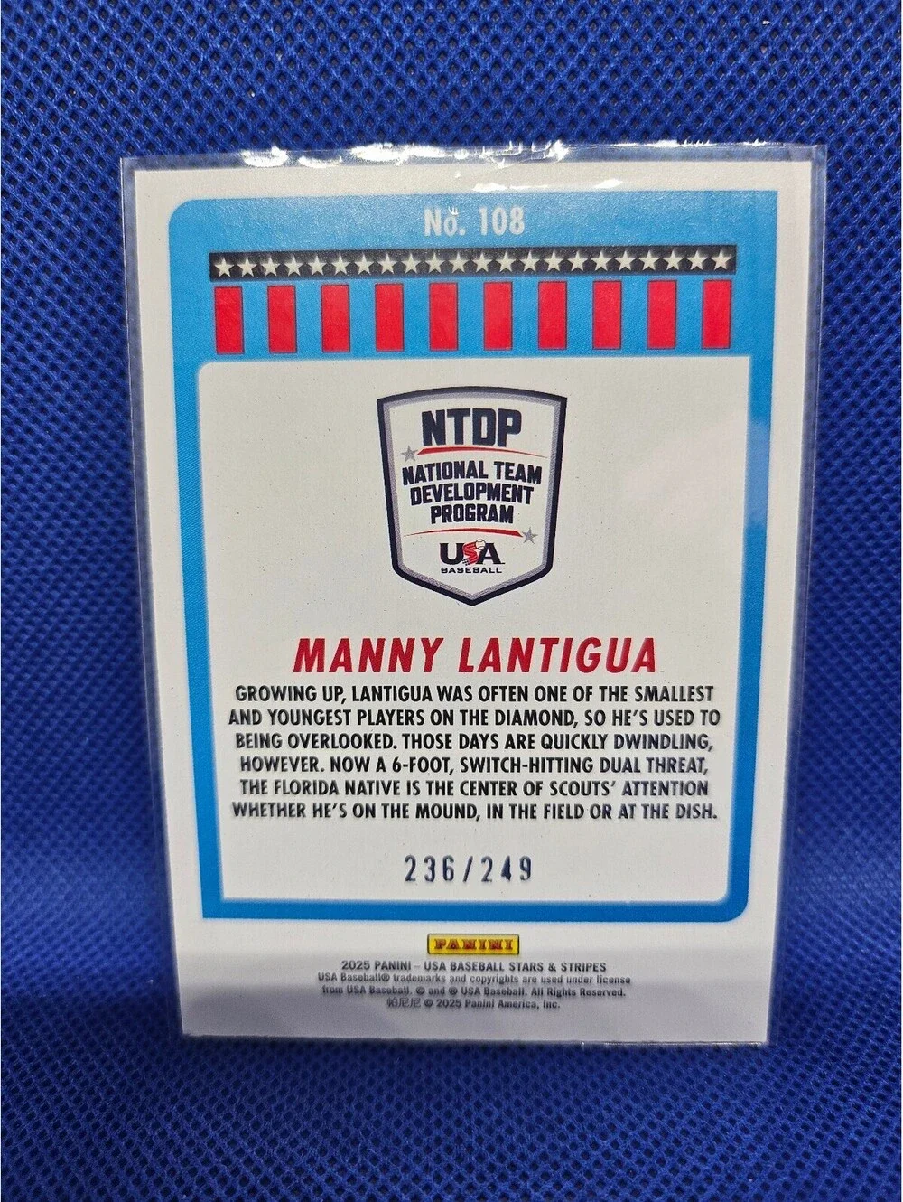 Panini 2025 usa